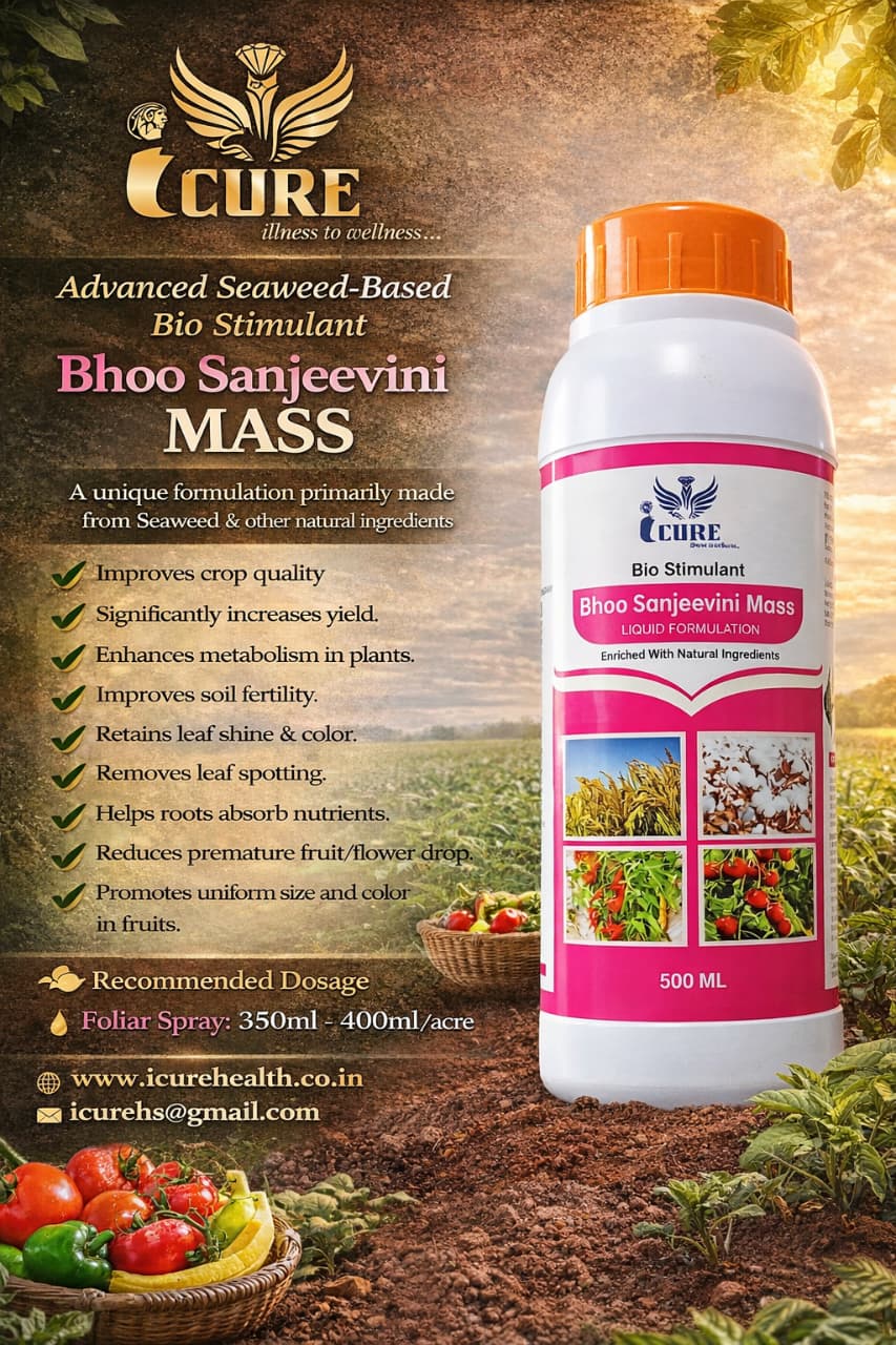 iCure Products Collection